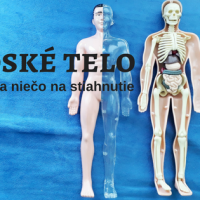 ľudské telo lapbook